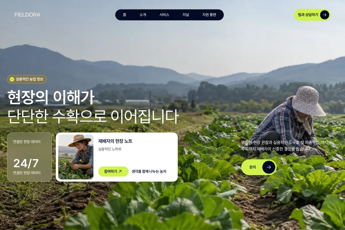 FIELDORA 웹사이트 첫 화면